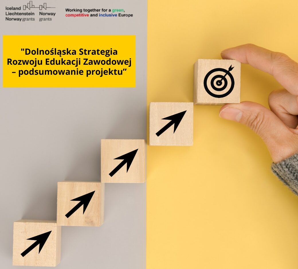 Grafika ozdobna do Dolnośląskiej Strategii Rozwoju Edukacji Zawodowej - podsumowanie projektu